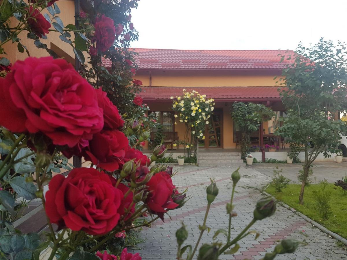 Mill House Villa Cluj-Napoca Ngoại thất bức ảnh